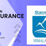 Himalayan Reinsurance Share Price Today